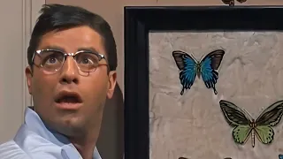 ⭐️JERRY LEWIS⭐️ Butterfly scene🦋"THE LADIES MAN"(1961)