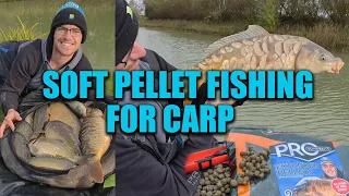 Soft Pellet Fishing For Carp | What are the new Des Shipp Pole Rigs like?