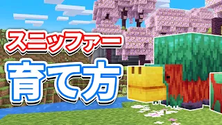 【マイクラ1.20】スニッファー(Sniffer)の育て方・卵の探し方・仕様など詳しく解説!!【マインクラフト1.20】(旅路と物語アップデート)