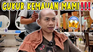 PAPI CUKUR RAMBUT DI TENTUIN MAMI!! KOK JADI GINI!!