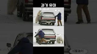 펩시를 산뒤 북극곰을 만났다.