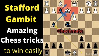 Insane Chess traps in Stafford Gambit 🔥🔥. Amazing Chess traps for black.