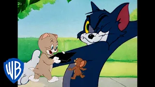 Tom & Jerry | Lessons At Home! | Classic Cartoon Compilation | WB Kids