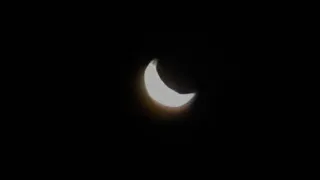 Zooming in On Cresent Venus With Nikon P1000!!!