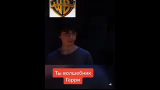 Если бы Гарри Поттера озвучивали разные студии 🤣🤣🤣 #shorts