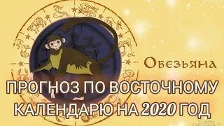 ОБЕЗЬЯНА.ПРОГНОЗ НА 2020 ГОД/FORECAST 2020