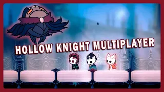 112% Жучий флекс: Hollow knight Multiplayer