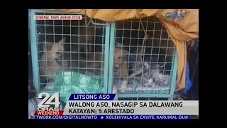 Walong aso, nasagip sa dalawang katayan; 5 arestado