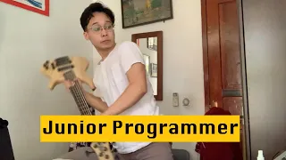 Senior Programmer VS Junior Programmer