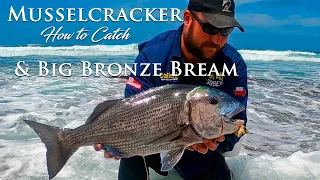 MUSSELCRACKER & BRONZE BREAM in one spot {HOW TO CATCH THEM}