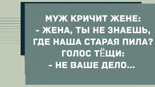 - Жена, ты не знаешь, где наша старая пила? Смех! Юмор! Позитив!