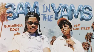 Sugarhill Ddot, Luh Tyler - 3am In The Yams (lyrics in description)