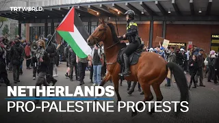 Dutch police accused of violence at pro-Palestine protests