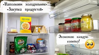 ✅ Экономлю каждую копейку!Покупки Фикс прайс,организация хранения, холодильник TCL TRF-347WEXA+