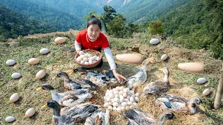 Harvesting DUCK EGGS - 2 Years Alone in Forest