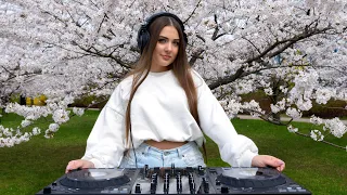 Ellika - Melodic Techno & Progressive House Mix, Sakura Park (Vilnius ) Vol.73