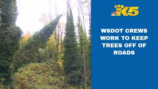 WSDOT crews work to keep trees off the roads during windy weather