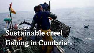 Sustainable creel fishing in Cumbria