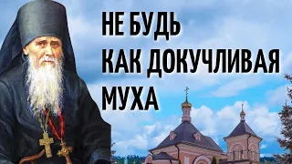 Оставь всех в покое! Не вмешивайся в чужие дела! Амвросий Оптинский