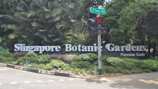 Singapore Botanic Gardens