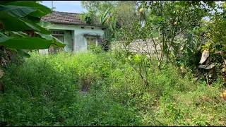 Visually transform the front yard of the overgrown abandoned house - Satisfied results