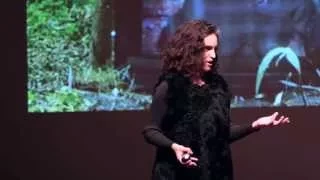 The art and science behind chimpanzee TV | Rachel Mayeri | TEDxClaremontColleges