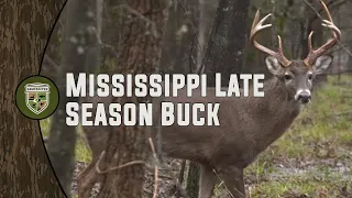 Mississippi Late Season Buck