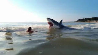 This Shark Devoured a Girl In Front of Her Family
