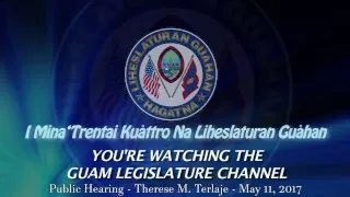 Public Hearing - Therese M. Terlaje - May 11, 2017