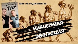 Где эволюция?! Дизайн ногтей, хвосты, аппендицит! Зачем нам это? Рудименты человека и будущее!