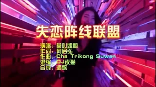 莫叫姐姐 《失恋阵线联盟》Dj夜猫Electro KTV 导唱字幕 （备有伴奏视频）