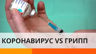 Зачем вакцинироваться от гриппа во время пандемии коронавируса? — ICTV