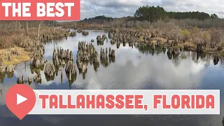 Best Things to Do in Tallahassee, Florida
