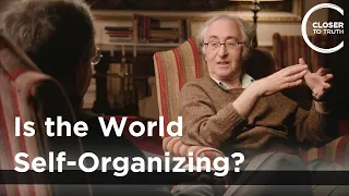 Brian Josephson - Is the World Self-Organizing?