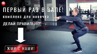 Стрим. 6 упражнений для новичков в тренажерном зале - первый день в зале! Упражнения для начинающих