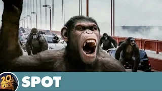 Planet der Affen: Prevolution - Spot 1 (Full-HD) - Deutsch / German