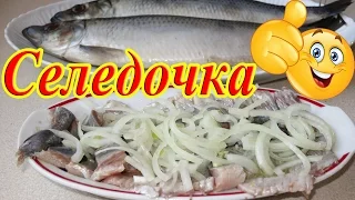 СЕЛЕДКА! Сколько не засоли - всегда мало! Как вкусно засолить Селедку!!!