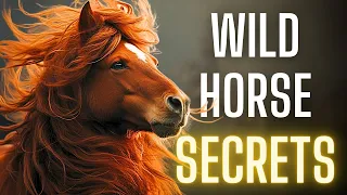 Unlocking Secrets: 5 Facts about the Wild Horse