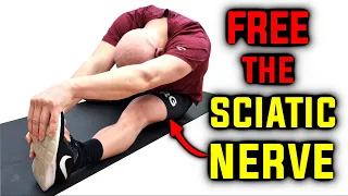 Sciatic nerve: The real reason behind tight hamstrings?