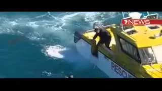 Hammer Shark Attack