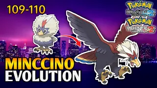 How To Evolve Rufflet Into Braviary In Pokemon Black 2 & White 2 | Unova Pokedex