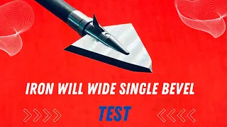 IRON WILL WIDE SINGLE BEVEL: Broadhead Test