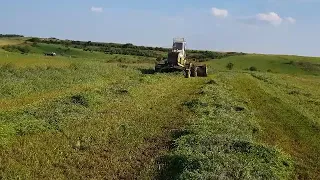 Fortschritt E303 // 4k /Cosit lucerna & Mowing alfalfa #2k18