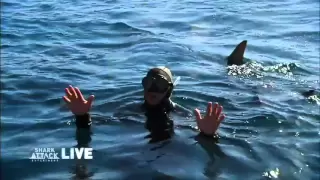 Human Bait | Shark Attack Experiment Live!