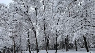 Yerevan , Armenia was Truly Beautiful Last Winter, January 2024