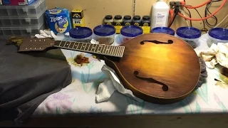 Saga Mandolin Kit, Sunburst