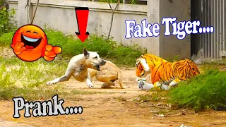 Big Fake Lion vs Prank Dogs | Fake Lion Prank Dog So Funny Can Not Stop Laugh | #prank