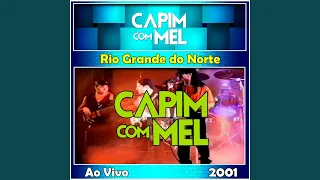 Fio de cabelo - Ao Vivo