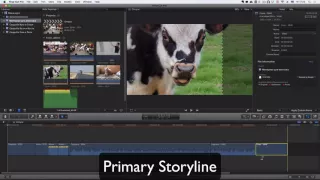Базовый видеокурс "Монтаж в Final Cut". Урок 03. Прокси и размещение клипов на таймлинии в FCPX