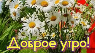 Просто Утро😍Просто Лето😊 Просто Ромашки💚 Для Вас💝